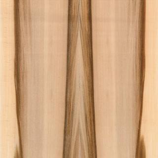 REDGUM 1