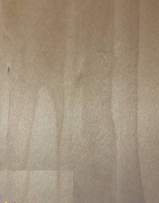 POPLAR 1026RV