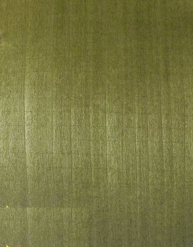POPLAR 1652RV