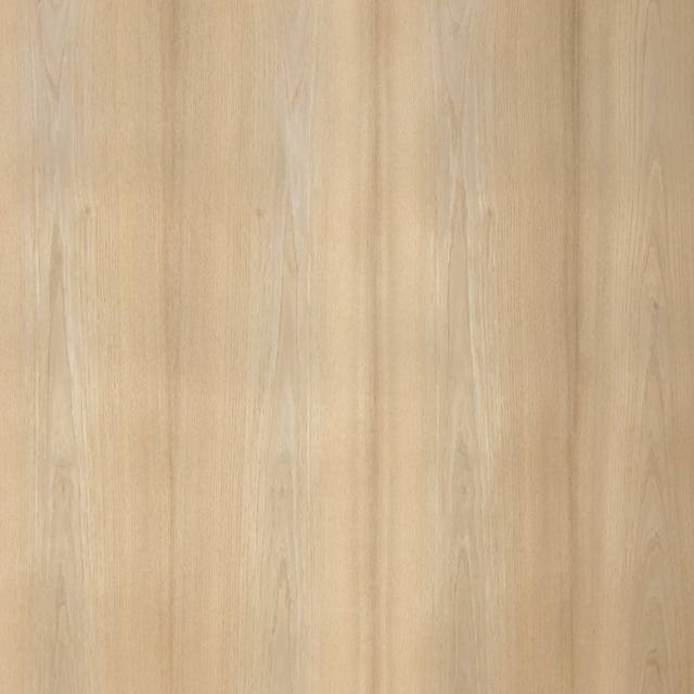 SASSAFRAS