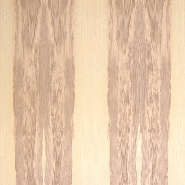 RENKLİ DIŞBUDAK
