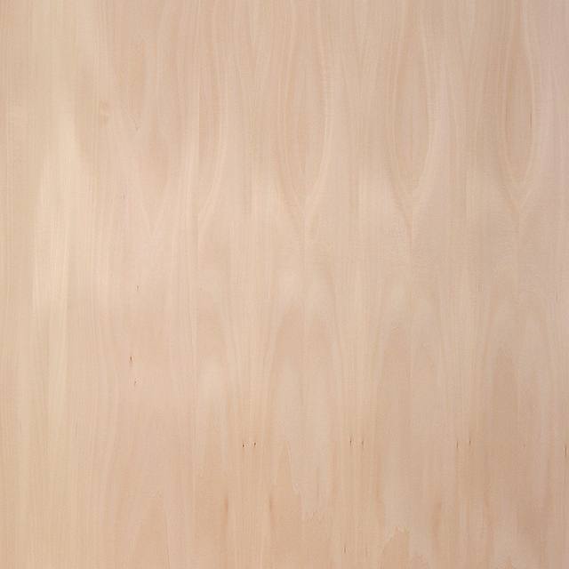 BASSWOOD