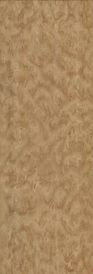 INT-66 IHC-UV ELM BURL