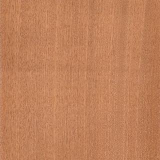 SAPELLİ 1